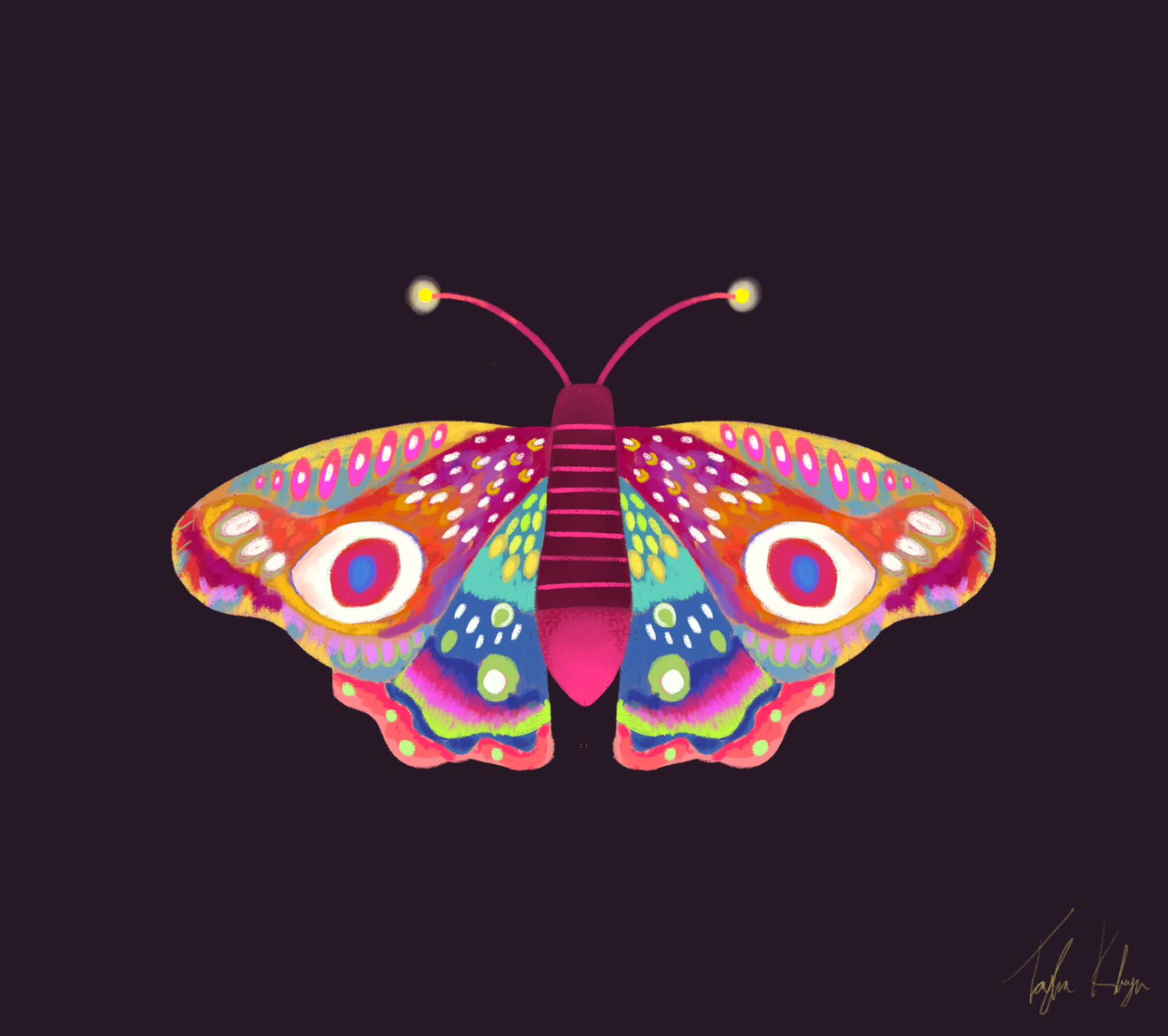 Creations by Tayla Kleyn
